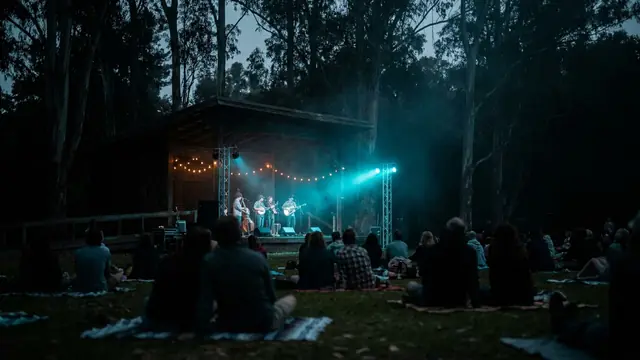 Festivalscen på natten: Skapa ditt eget Hardly Strictly Bluegrass Hitster-paket med Hitify